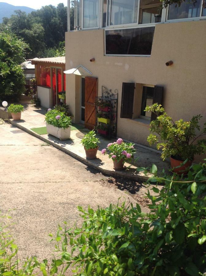Charmant Appartement 2 Pieces Eccica-Suarella  Exterior photo