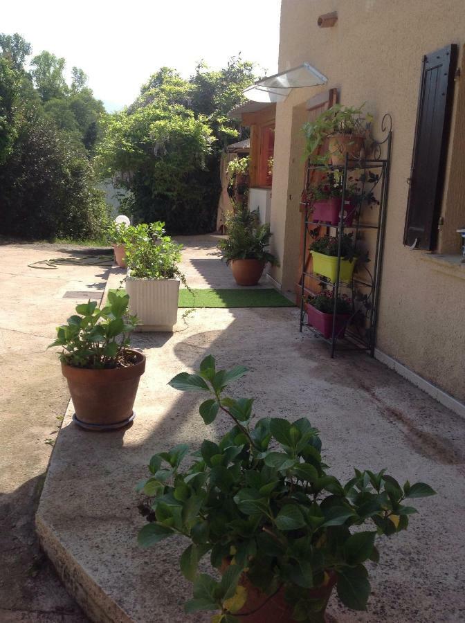 Charmant Appartement 2 Pieces Eccica-Suarella  Exterior photo